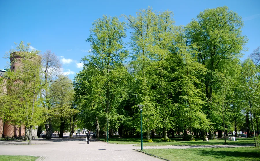 Lundagård-Park mit historischen Gebäuden