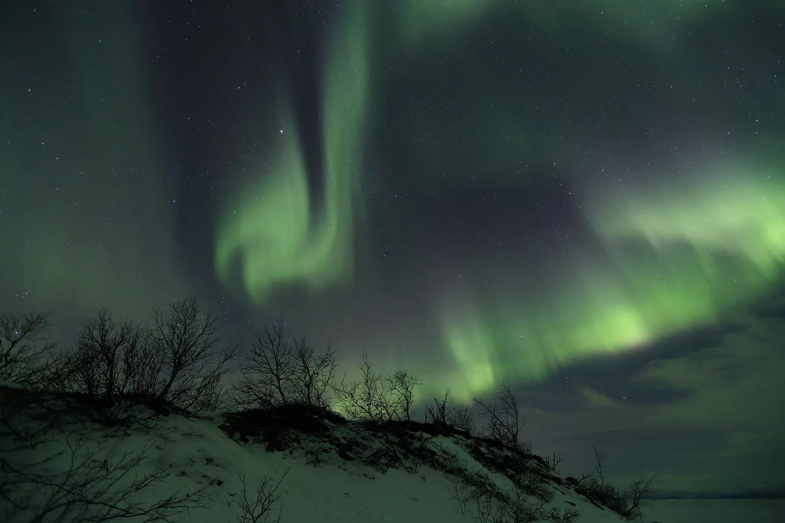 Aurora Borealis über dem Torneträsk-See bei Abisko